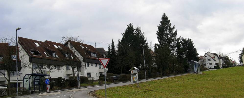 
            Фотография Зикенхаузена