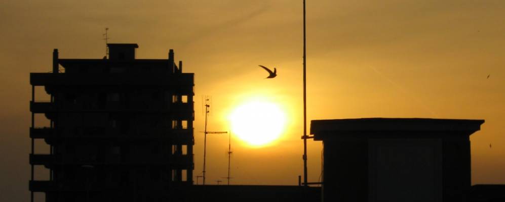 
            Фотография Ладисполи