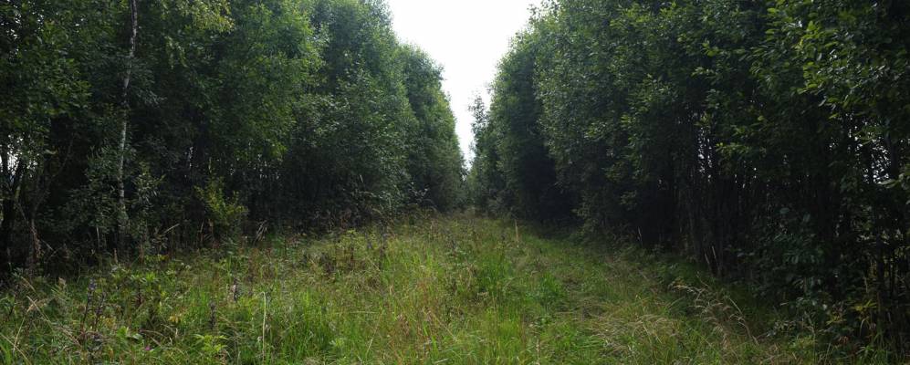 
            Фотография Лашутино