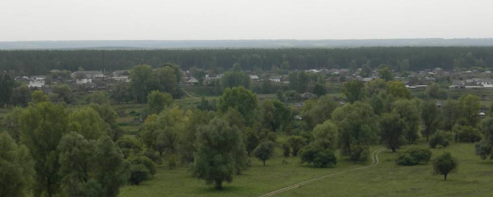 Погода черемушкино алтайский край. Село Черемушкино Залесовского района Алтайского края. Алтайского села Черёмушкино Залесовского района. Гуниха Алтайский край Залесовский район. Село Гуниха Залесовского района Алтайского края.