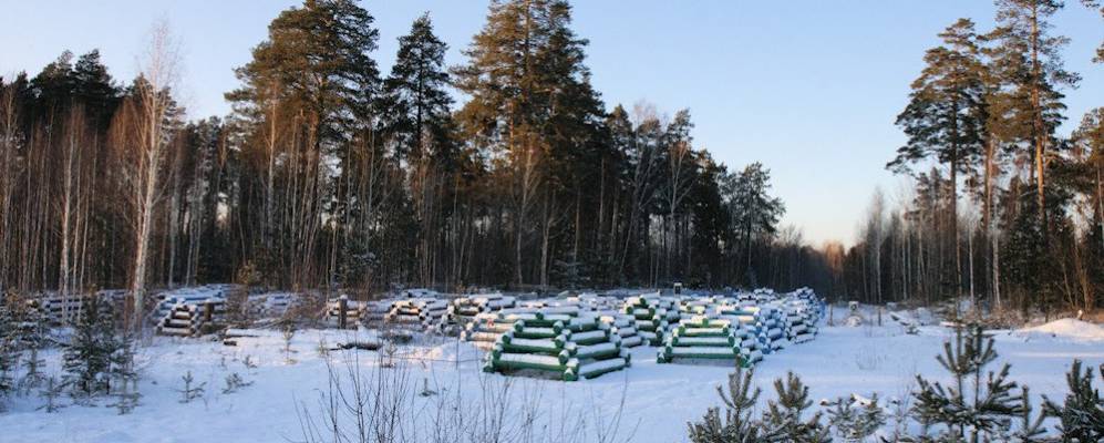 
            Фотография Кордона