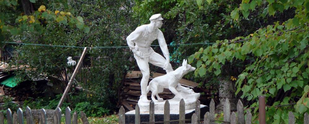 
            Фотография Гибкино