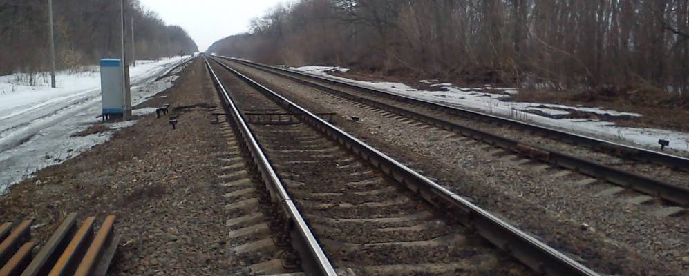 
            Фотография Поселка Совхоза Селезневский