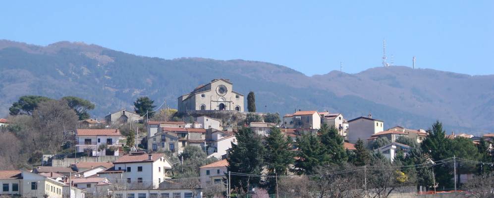 
            Фотография Ровито