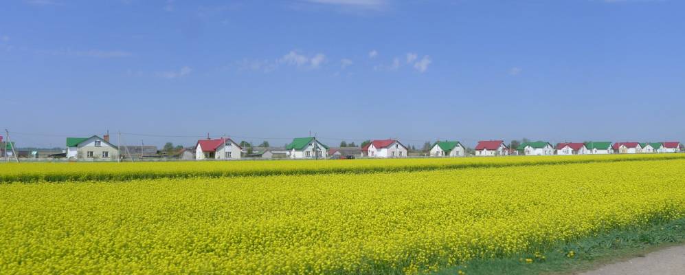 Фотография деревни Горки