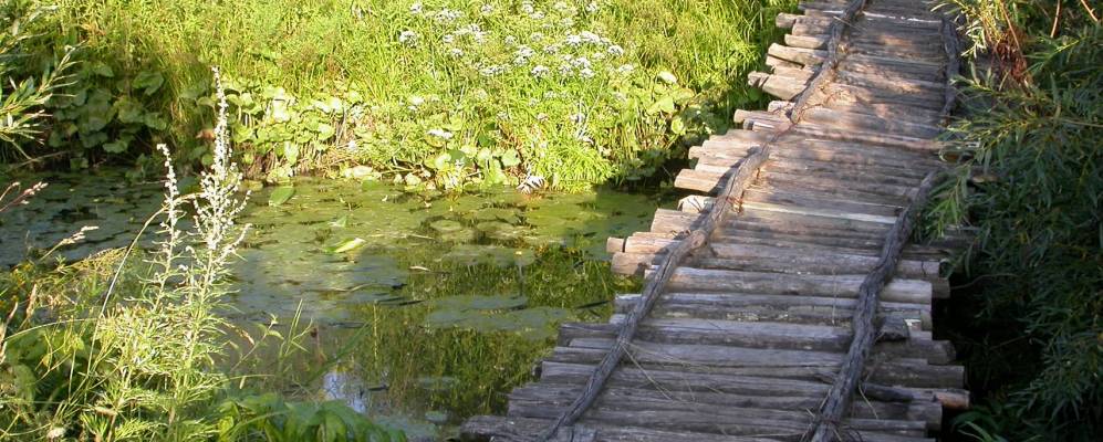 
            Фотография Мурлыткино