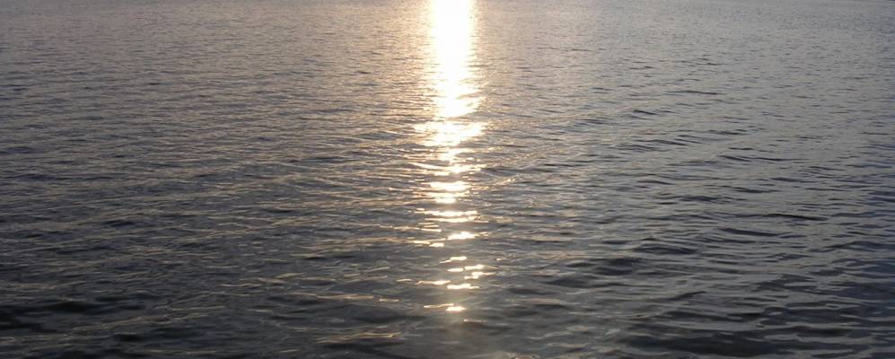 Фотография деревни Боровые