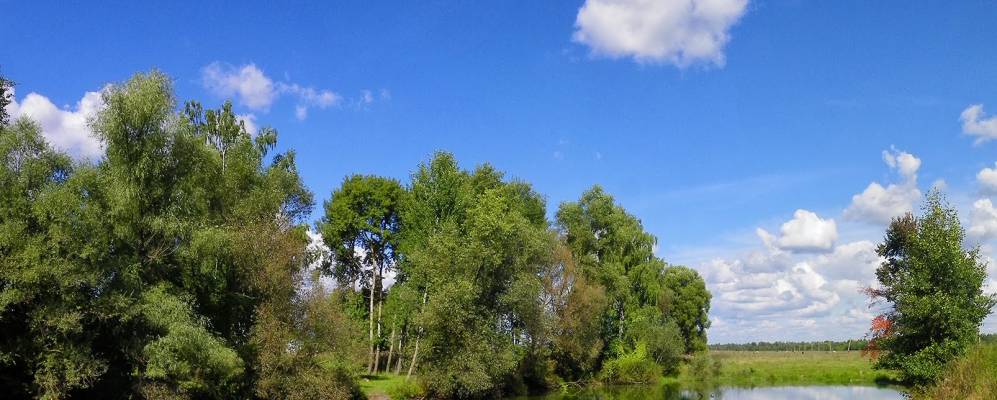 
            Фотография Волосковцы