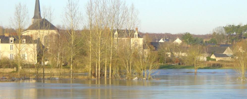 
            Фотография Сусель