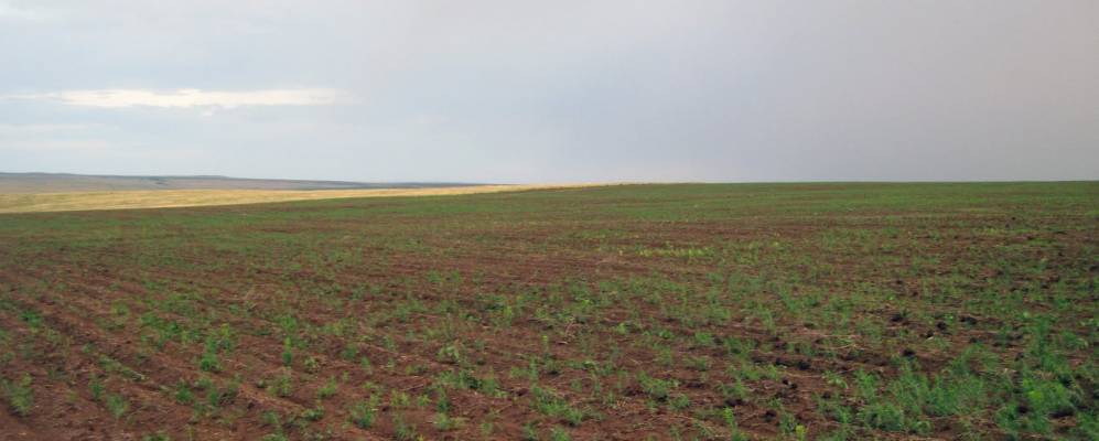 
            Фотография Утеево