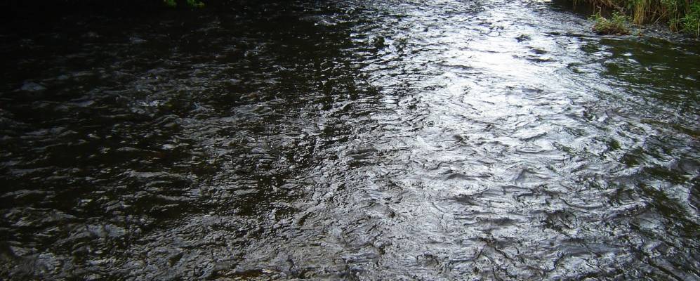 
            Фотография Прокуророво