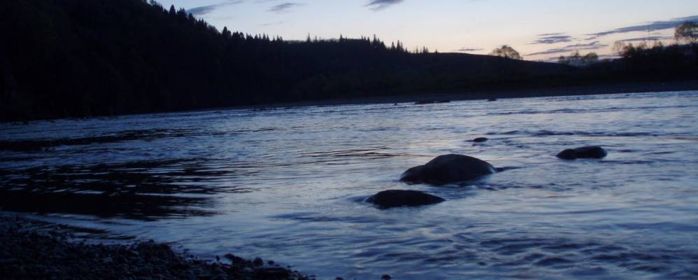 
            Фотография Тышивницы