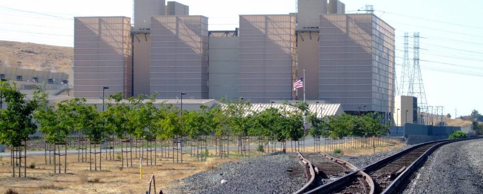 
            Фотография Coyote