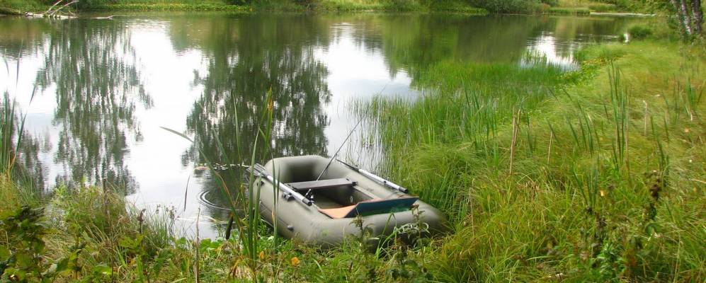 
            Фотография Вороничей