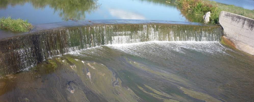 Фотография Александра-Невской Станицы