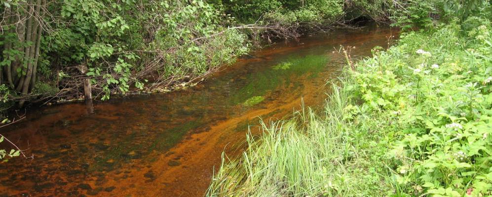 
            Фотография Дощаного