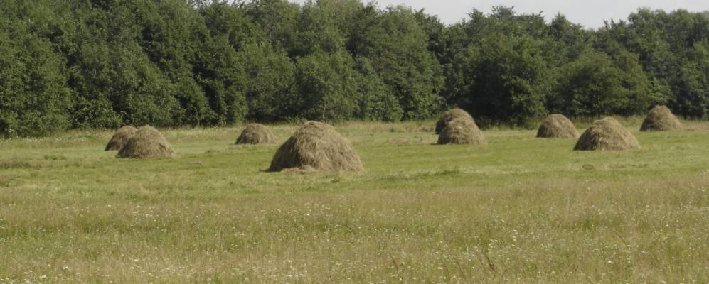 
            Фотография Маныша