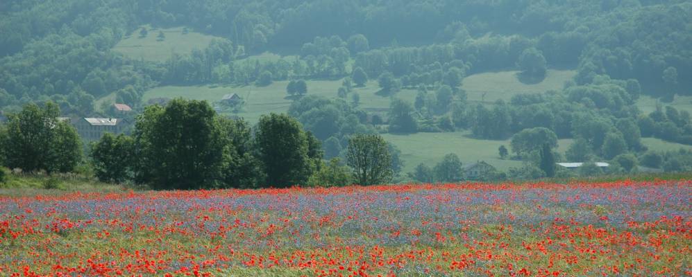 
            Фотография Saint-Léger-les-Mélèzes