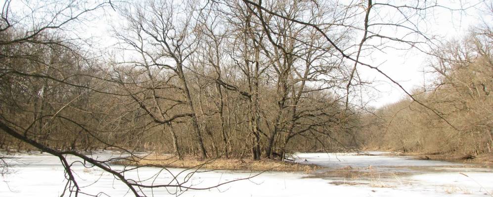 
            Фотография Подлесного