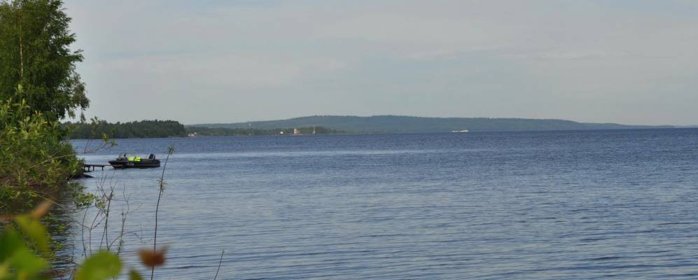 Фотография Заводчика