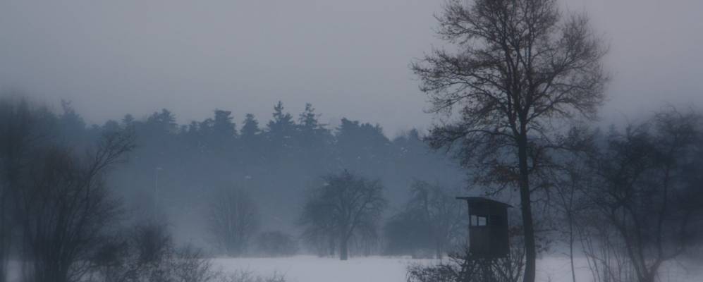 
            Фотография Энгельсбранда