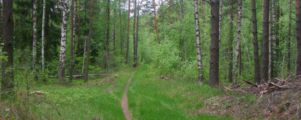 
            Фотография деревни Шевертни