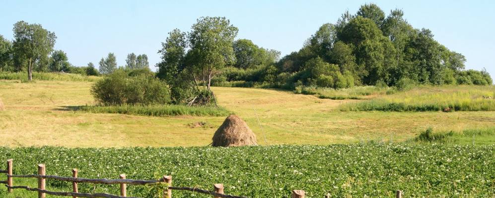 Фотография Шубино