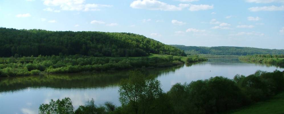 
            Фотография Меревского