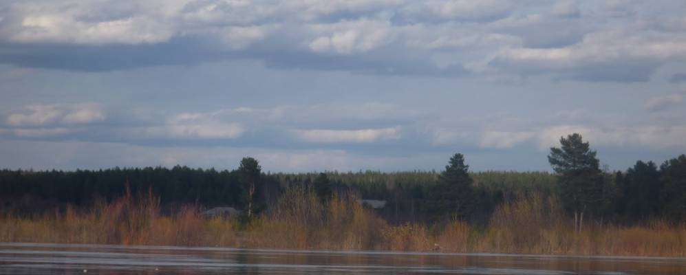 
            Фотография Бурденка