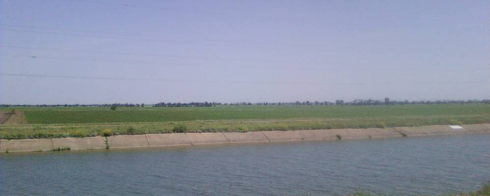 
            Фотография Рогачинки