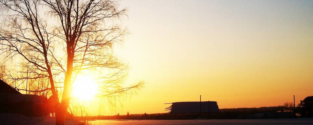 
            Фотография Дзельгорта