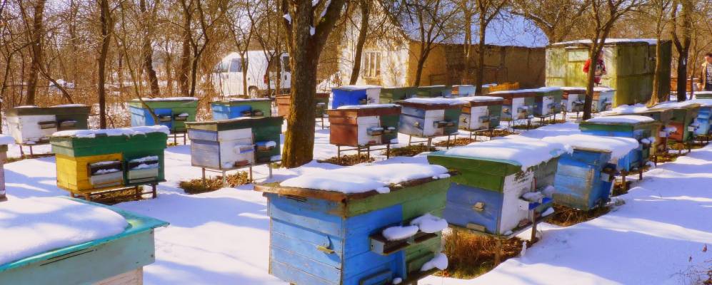 
            Фотография Рафайново