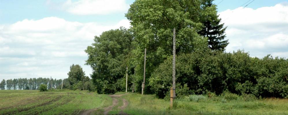 
            Фотография Червоной Степи