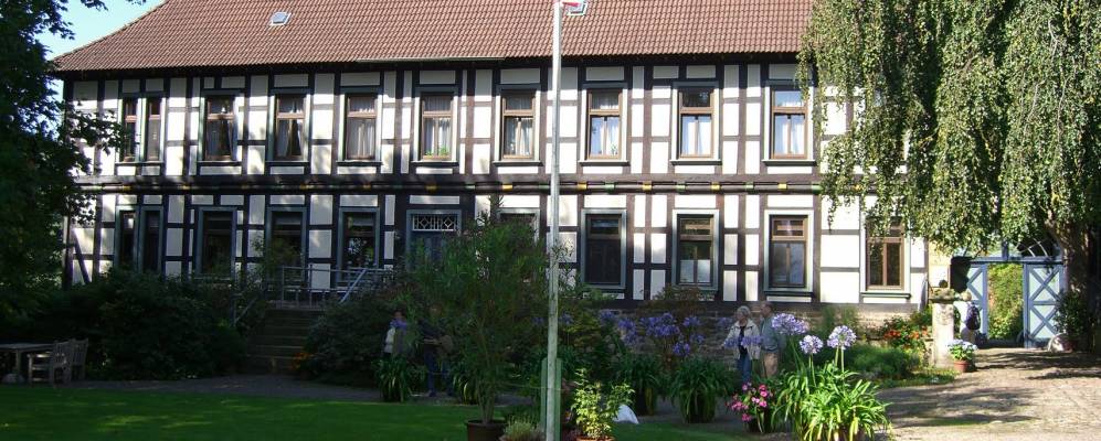 
            Фотография Хельпсена