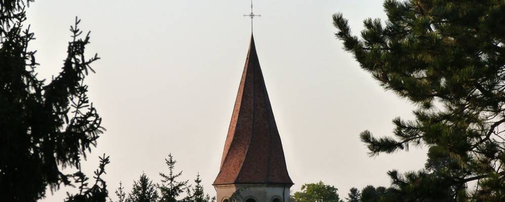 
            Фотография Сейзерья