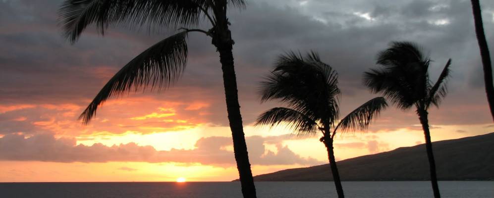 
            Фотография Кихеи