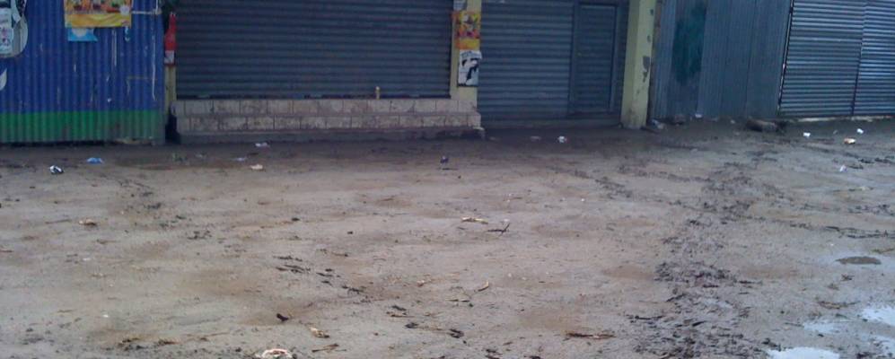 
            Фотография Педроукоша