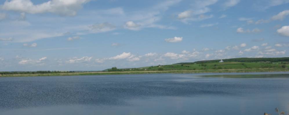 
            Фотография Куропатники