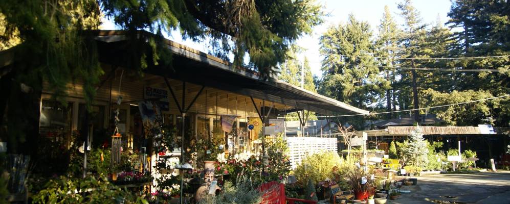 
            Фотография Портола Велли