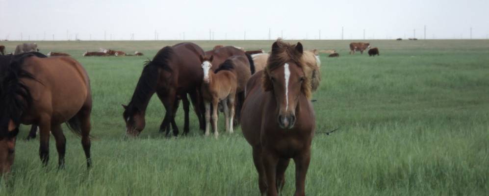 
            Фотография Красногвардейца
