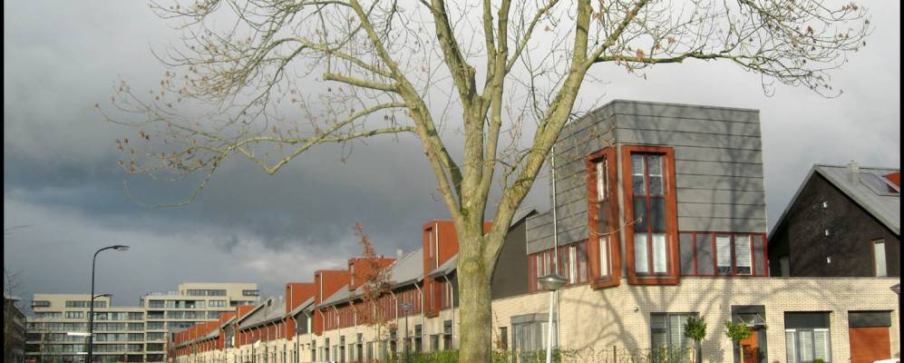 
            Фотография Хорна