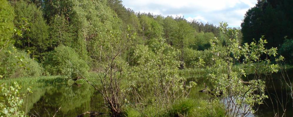 
            Фотография Кушкина