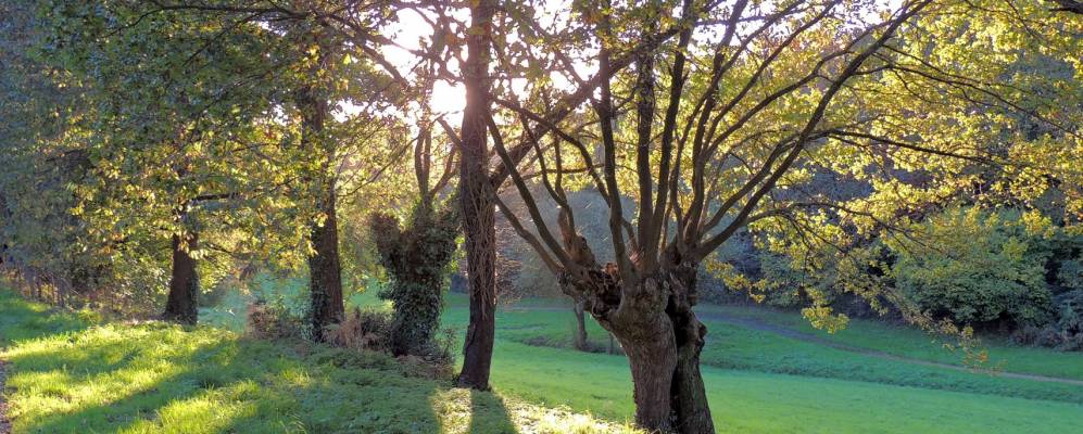 
            Фотография Мов-сюр-Луара