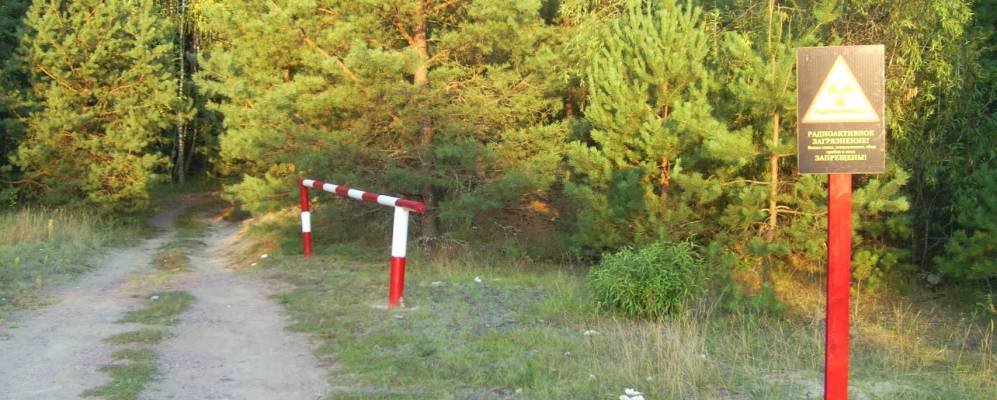 
            Фотография Хильчихи