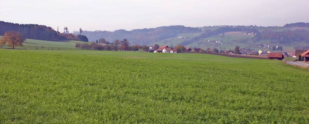 
            Фотография Бонштеттена