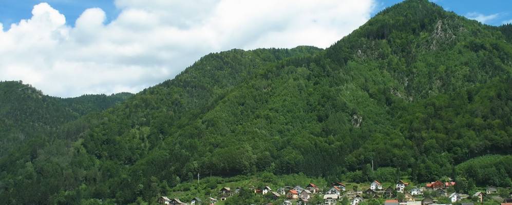 
            Фотография Есенице