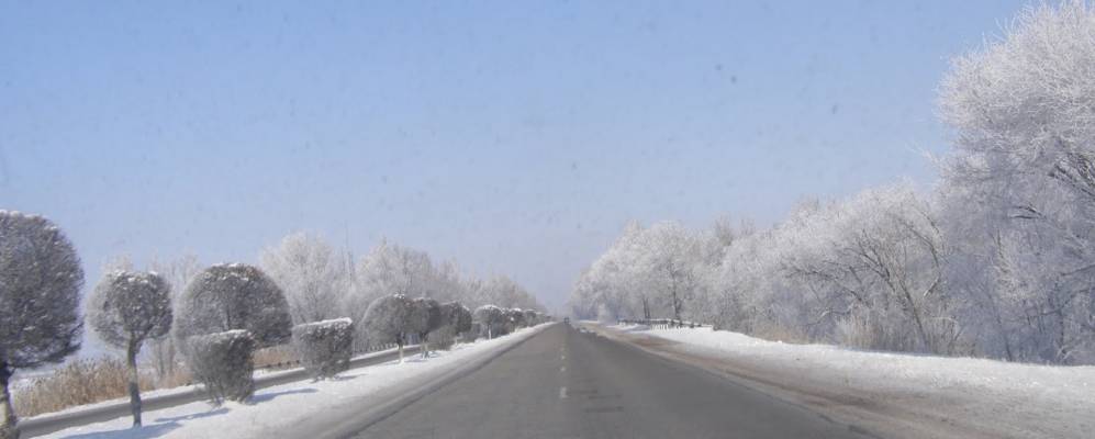 
            Фотография Жанадаура