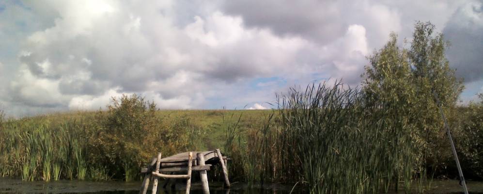 
            Фотография Троицкого