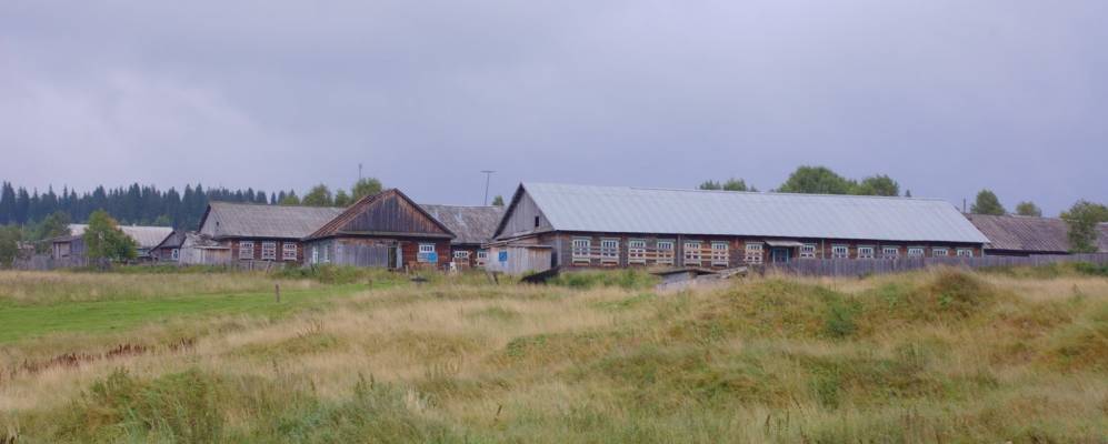 
            Фотография Медведки