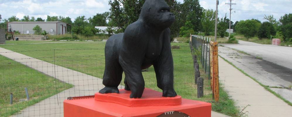 
            Фотография Пикэра